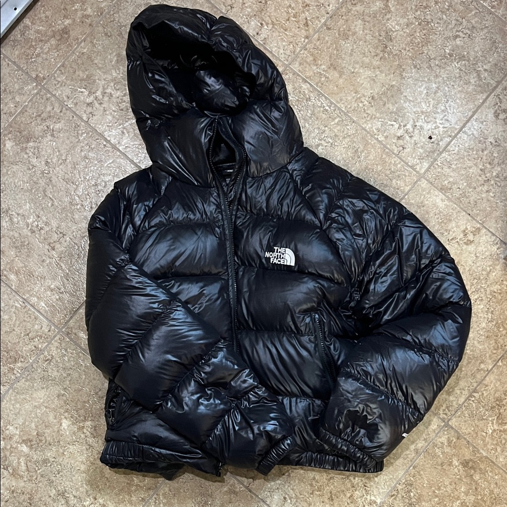 The North Face Hydrenalite Down Hooded Jacket